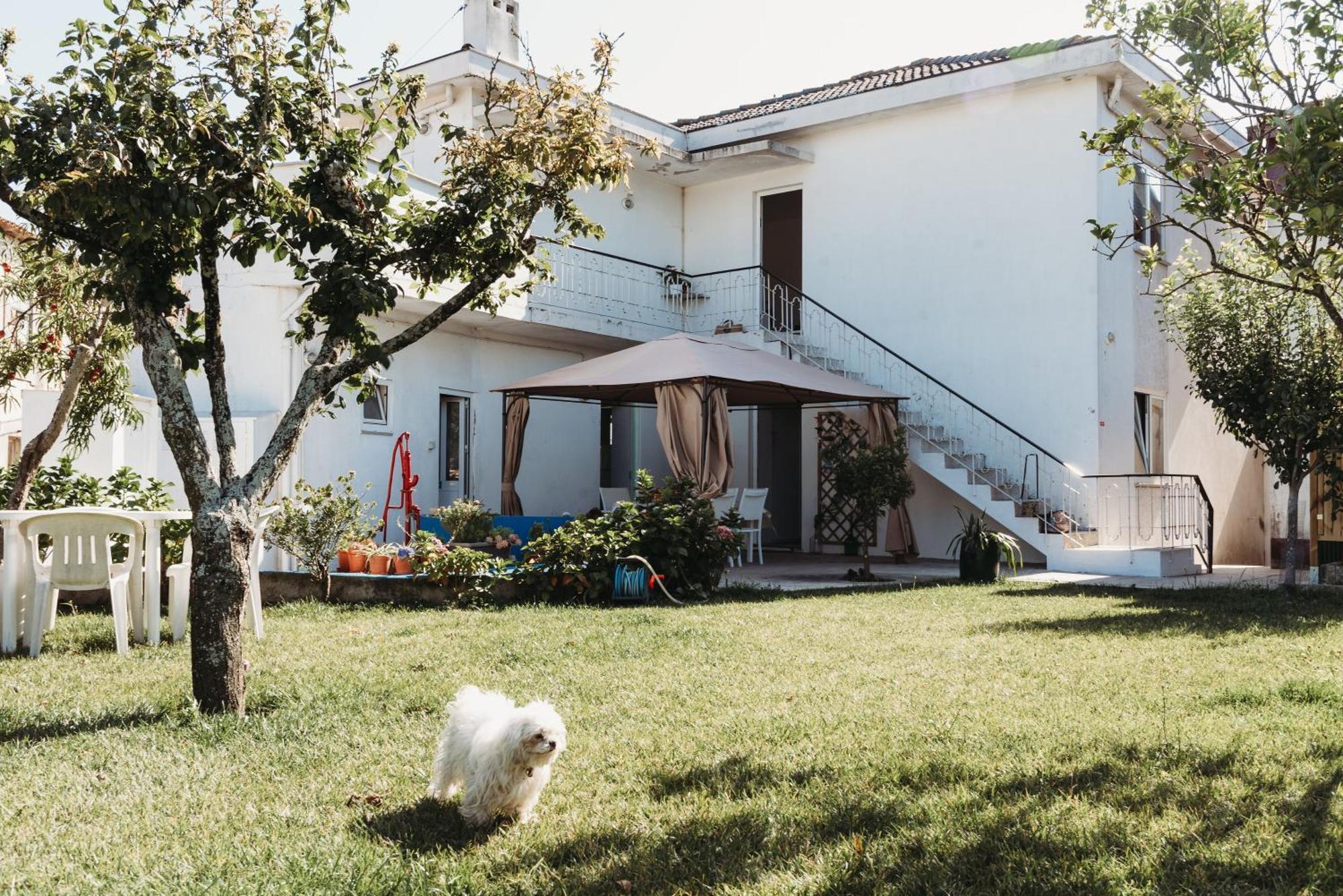 A Casa Da Estrela - Albergue De Peregrinos فاجوزيس المظهر الخارجي الصورة